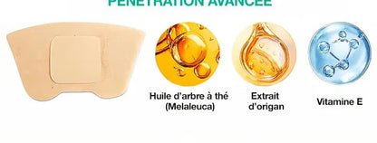 Ingrédients actifs du patch Onyxel