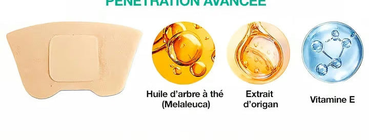 Ingrédients actifs du patch Onyxel